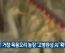 거창 육용오리 농장 '고병원성 AI' 확진