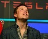 A US stock soared 1,100% on Elon Musk's tweet