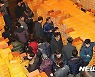 얼어붙은 감귤시장 회복 총력.. 제주, 농업에 2390억 투입
