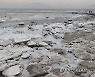 바다도 꽁꽁
