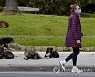 ITALY ANIMALS PANDEMIC CORONAVIRUS COVID19