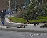 ITALY ANIMALS PANDEMIC CORONAVIRUS COVID19