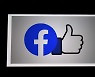 페이스북, '도둑질 멈춰라' 게시물 삭제.."폭력사태 방지 목표"