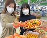 [포토] 농협유통, 슈퍼푸드 토마토