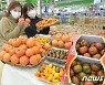 농협유통 '다양한 토마토 들여가세요'