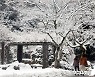 대설주의보 발효된 제주