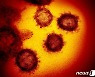 대만서 코로나 지역감염 2명 발생, 12월22일 이후 처음