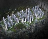 삼성물산, 다음달 부산 '래미안 포레스티지' 분양
