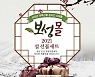 '보성몰' 설맞이 특별 할인..내달 10일까지