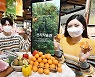 홈플러스 온라인, '산지직송관' 오픈
