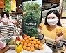홈플러스 온라인, '산지직송관' 오픈