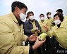 [fn포토] 제주도의회 농수축경제위, 농작물 한파 피해 현장 점검