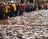 부산공동어시장 현대화사업 추진 '본궤도'