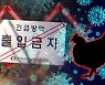 남양주 산란계 농장·고성 육용오리 농장 고병원성 AI 확진