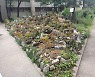 서울 노원구, 아파트 단지 정원 조성사업 공모