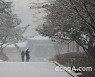 눈 내리는 서울 [DA포토]
