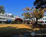 [곡성소식] 2021년 달라진 시책 홍보
