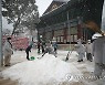 도심 불사도 눈치우기 한창
