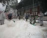 도심 불사도 눈치우기 한창