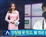 안창림 못 꺾고, 팔 꺾은 日 유도 간판 하시모토