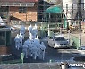 안성 금광면 산란계 농장 AI 항원 검출..40만마리 예방적 살처분