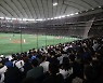일본프로야구 "예정대로 2월 1일 스프링캠프"