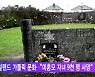 아일랜드 가톨릭 문화.."미혼모 자녀 9천 명 사망"
