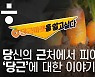 당근 거래 꿀팁 대방출.."여보, 그 아저씨랑 거래하지 마요"