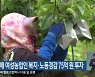 강원도, 올해 여성농업인 복지·노동경감 75억 원 투자