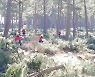 산림 폐목재 年 23만t, 친환경 에너지 자원으로 거듭난다