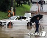 물 먹은 중고차 2만대 풀렸다.. 호갱 피하려면?