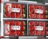 김천 딸기 러시아 수출 올해 첫 시동..설향 340박스 선적