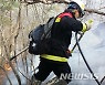 인제군 산불예방에 나선다..진화대·감시원 157명 모집