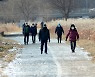 '녹아가는 산책로와 산책 즐기는 시민들'
