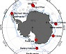 남극바다, 대왕고래·긴수염고래 소리 분리에 성공