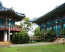 독립운동가 최봉윤 선생 가족, 하와이대에 50만불 기부