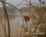India Community Fishing