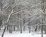 HUNGARY WEATHER SNOW