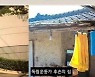 웹툰작가 윤서인 "독립운동가들은 대충 살았던 사람 아닐까" 막말 논란