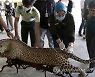 INDONESIA CRIME WILDLIFE TRADING