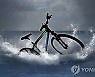 자전거로 부둣가 지나던 선원 바다로 추락..의식불명