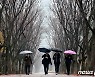 [오늘의 날씨]대전·충남(15일, 금).. 한때 5mm 비, 미세먼지 나쁨