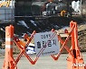 충남 홍성서 고병원성 AI 확진..가금류 50만 마리 살처분