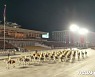 '백두산 군마' 타고 열병식 입장하는 북한 명예기병종대
