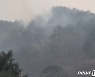 인제 야산 정상 부근서 산불..산림당국 진화중