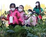 인천교육청, 올해 100개교에 텃밭 조성..생태환경교육 병행
