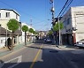 합천군, 둥근형 은행나무 모양 가로숫길 조성