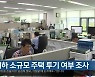 1억 이하 소규모 주택 투기 여부 조사