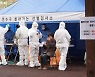 [속보] 코로나19 신규 확진 513명..나흘연속 500명대 유지