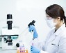 Celltrion submits IND for Phase 3 study of Prolia biosimilar in US